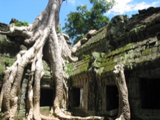 TEMPLES DE LA JUNGLE KHMERE