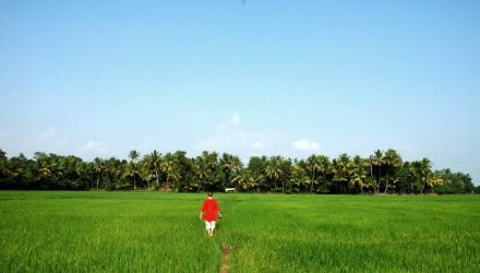 Le Kerala c'est par là !