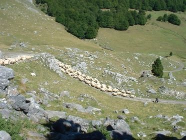Le Parc naturel régional des Pyrénées recrute 