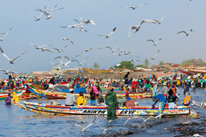 Le Sénégal en buggy