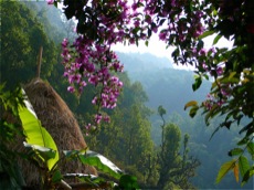 LE SANCTUAIRE DES ANNAPURNAS