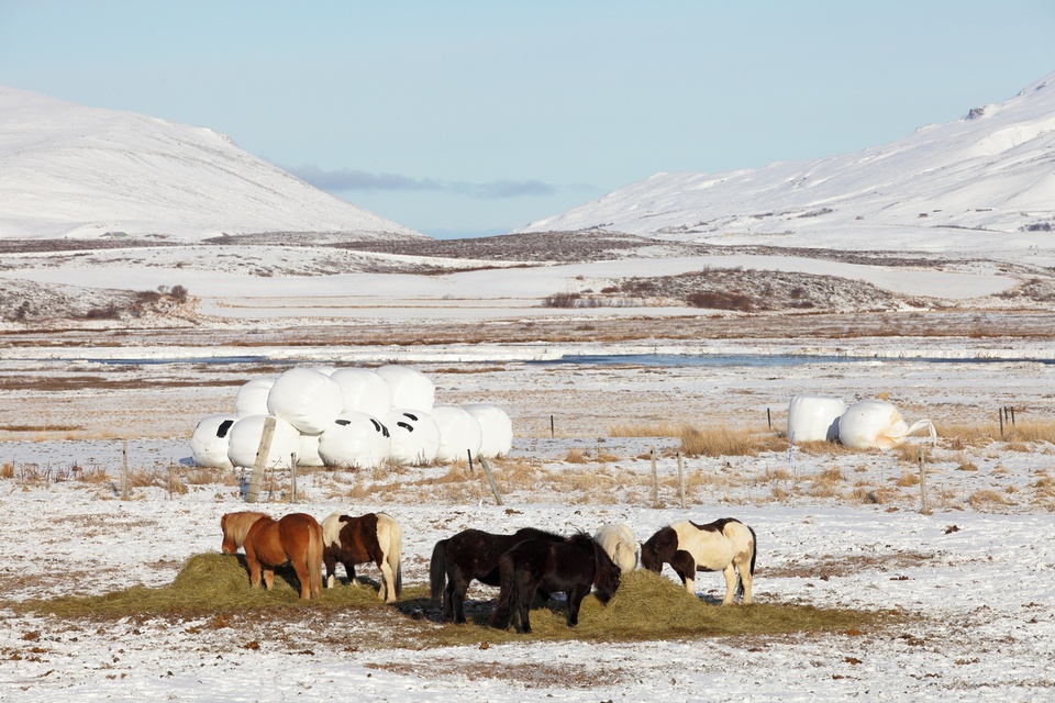 Le tour de l'Islande