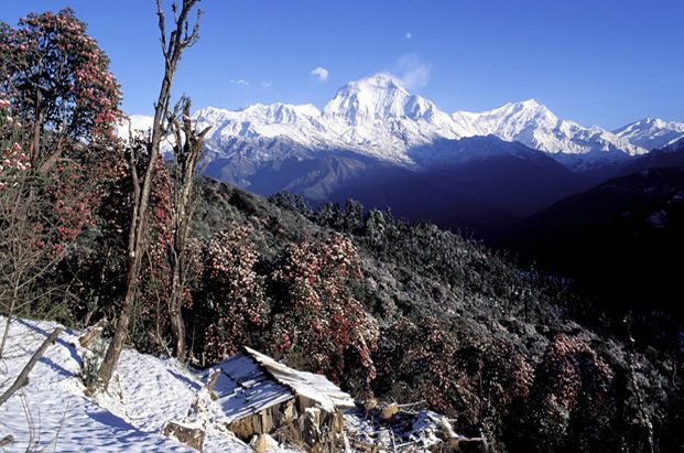 Le tour de l'Annapurna