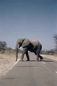 LE TOUR DE NAMIBIE - LIBERTE