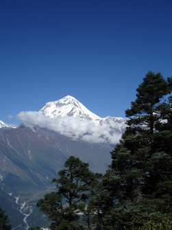 LE TOUR DES ANNAPURNAS - LIBERTE