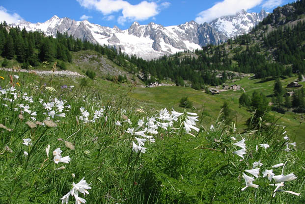 &nbsp;
LE TOUR DU MONT BLANC