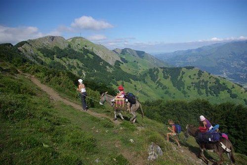 Le Val d'Azun avec des ânes