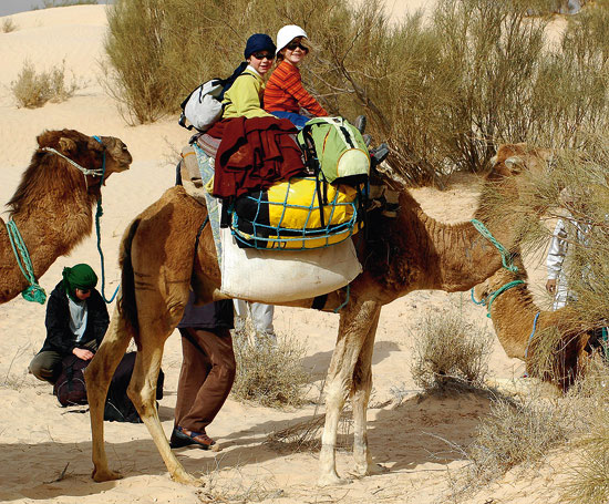 Les aventuriers du Grand Sud