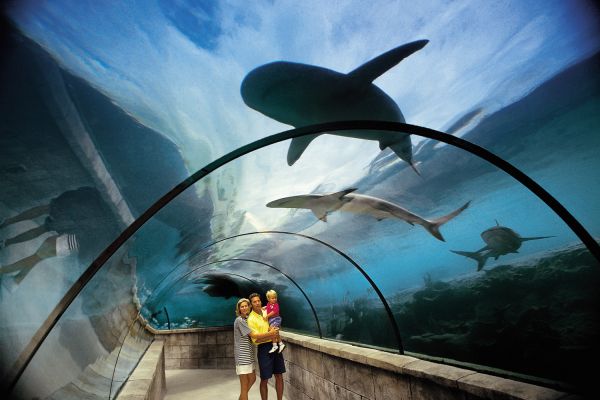Les Bahamas avec vos enfants, retrouvez l'Atlantide