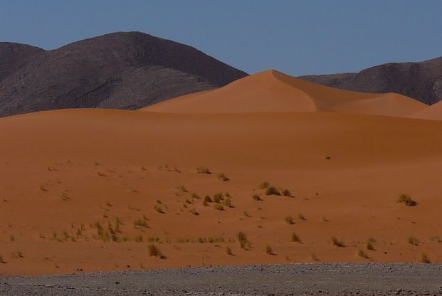 Les dunes roses de Ouzina
