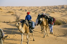 LES EXPLORATEURS DU GRAND ERG