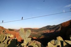 LES FUNAMBULES DE L'ATLAS