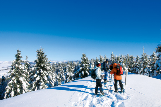 Les hauts plateaux ardéchois