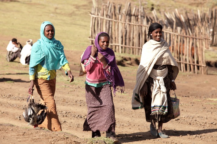 Les hauts plateaux d'Ethiopie