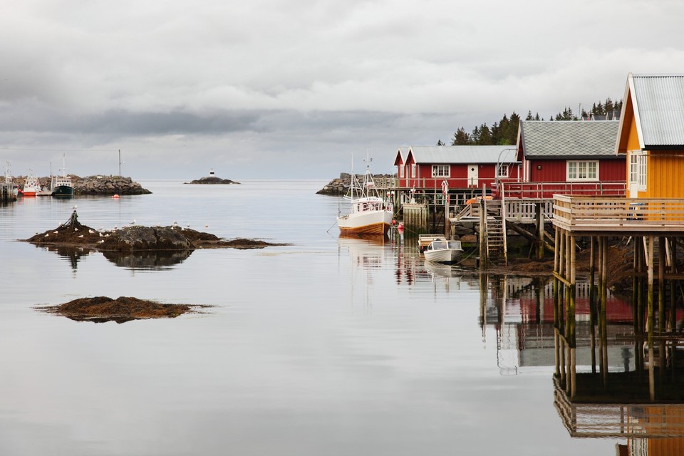 L'été aux Lofoten