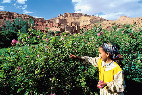 Les jardins de l´Atlas