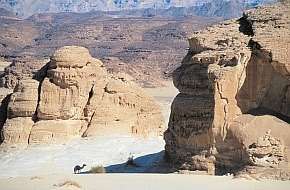 Les montagnes du Sinaï - 11 jours