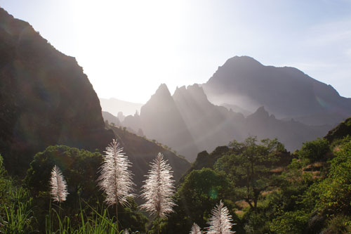 Les oasis atlantiques - 8 jours