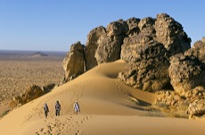 LES OASIS DE L'ADRAR