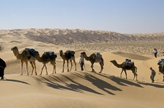 LES OCRES DE TIMIMOUN