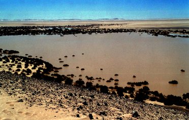 Les Salines de l'Amadror