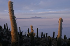 LES TRESORS DE L'ALTIPLANO
