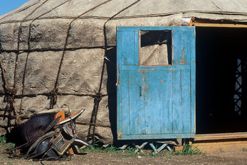 L'esprit du vent : trekking en Mongolie