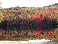 L'ETE INDIEN AU QUEBEC (CONFORT)