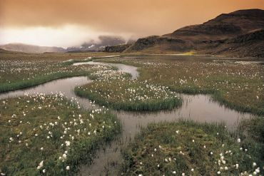 L'Islande en liberté                                                            