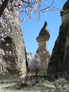 Logis troglodytiques et sculptures telluriques