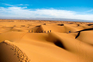 L'or du grand sud (Drâa)