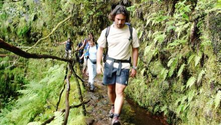 Madère : entre mer et montagne