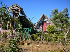 MADERE - L'ILE FANTASTIQUE - FAMILLES