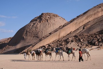 Méharée de l'Atakor à la Tefedest, sommets mythiques du Hoggar