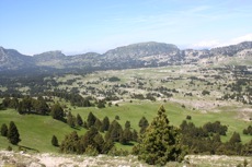 MARCHE NORDIQUE EN VERCORS