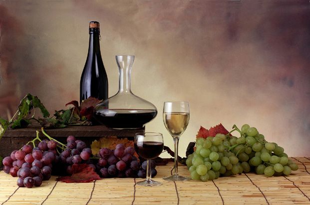 MEDOC, Vignobles, Châteaux et Estuaire
