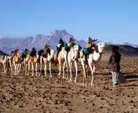 Méharée entre Hoggar, Amadror et Tefedest