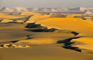 Mer de pierre & Siwa, oasis de légende