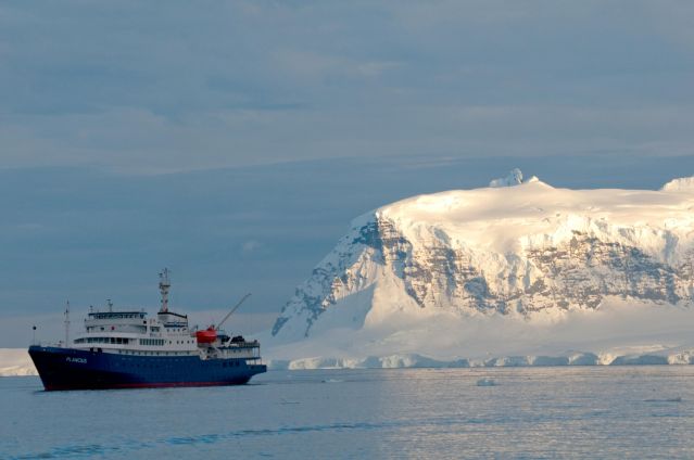 Mer de Weddell, péninsule antarctique et Malouines