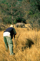 Merveilles de Matobo et chutes Victoria