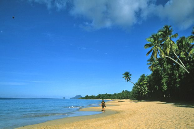 Montagne Pelée, plages et cocotiers