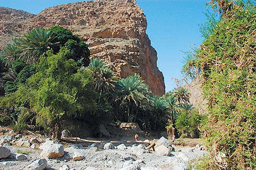 Montagnes et oasis d´Oman