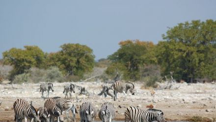 Namibie en Liberté