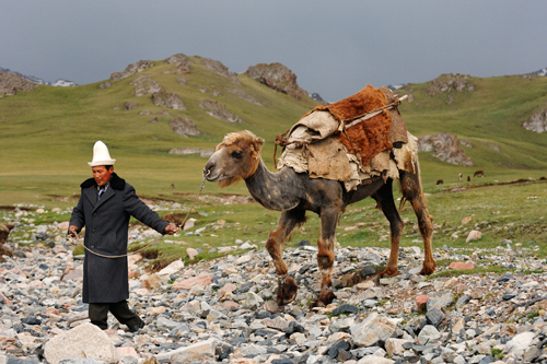 Nomades sur la route de Kashgar