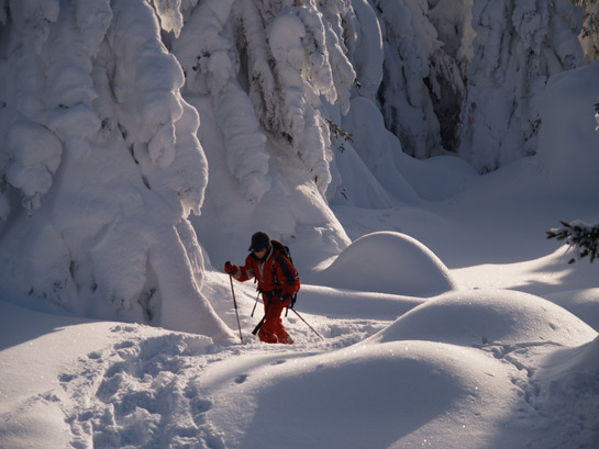 Nouveau catalogue Chamina voyages hiver