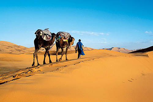 Oasis du Drâa et Sahara