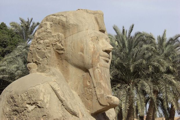 Oasis et désert Libyque