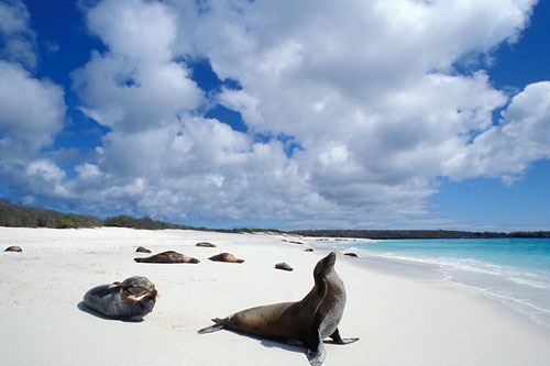 Objectif Galápagos