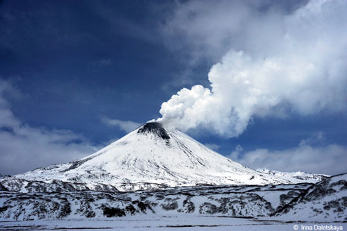Ours et volcans du Kamtchatka