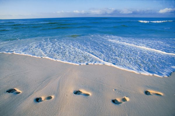 Pélicans et sables blancs : la Floride en famille